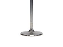 Load image into Gallery viewer, User 3