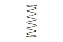 Load image into Gallery viewer, Eibach ERS 20in L x 5.00in OD Platinum Rear Spring - 100 lbs/in