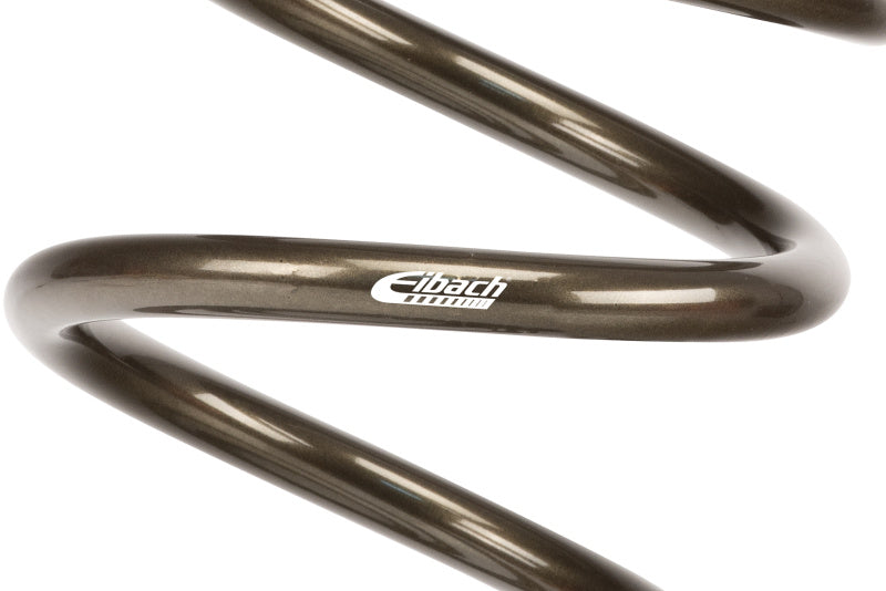 Eibach ERS 11in L x 5.00in OD Platinum Rear Spring - 170 lbs/in