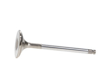 Load image into Gallery viewer, Manley 90-96 Nissan 300ZX 3.0L (VG30D - VG30DTT) DOHC 24 Exhaust 29.5mm Stainless Race Master Valves