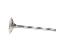 Load image into Gallery viewer, Manley Toyota 1FZFE 34mm Race Master Exhaust Valves (Set of 12)