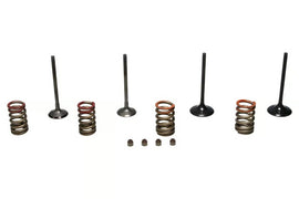 Wiseco 11-16 KX250F Steel Valve Set