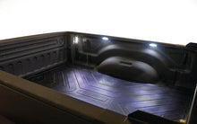 Load image into Gallery viewer, Photo - Mounted