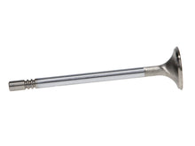 Load image into Gallery viewer, Manley Ford GT350 Voodoo 5.2L Race Master Series Exhaust Valve Set - 1.280in Dia