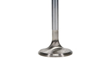 Load image into Gallery viewer, Manley Ford 289-302-35IW Budget Performance Street Flo Exhaust Valves (For use w/ Rail Type Rockers)