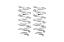Load image into Gallery viewer, Eibach 18-24 Ford Expedition Stage 1 Rear Spring System