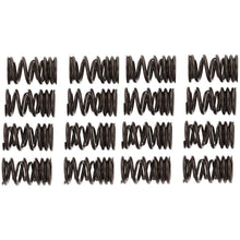 Load image into Gallery viewer, Manley Honda K20A/K20Z Valve Spring and Retainer Kit (w/o Valve Locks)