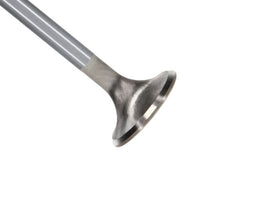 Manley 99-12 Ford 4.6L/281 5.4L/330 V8 37mm Race Series Stainless Steel Intake Valve - Single