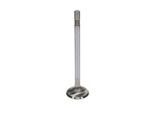 Load image into Gallery viewer, Manley 99-12 Ford 4.6L/281 5.4L/330 V8 37mm Race Series Stainless Steel Intake Valve - Single