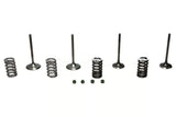 Wiseco 02-06 CRF450R Steel Valve Set