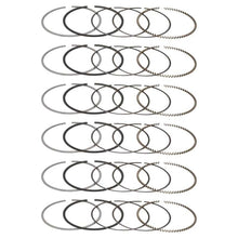 Load image into Gallery viewer, User 1