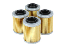 Load image into Gallery viewer, aFe PROGUARD Oil Filter- 4 Pack