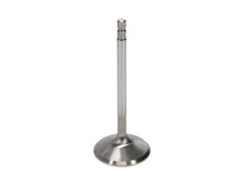 Load image into Gallery viewer, Manley Nissan GT-R 3.8L (VR38DETT) DOHC 37.15mm Race Master Intake Valves (Set of 24)