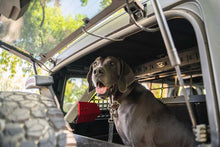 Load image into Gallery viewer, DV8 Offroad 2021-2024 Ford Bronco Dog Barrier