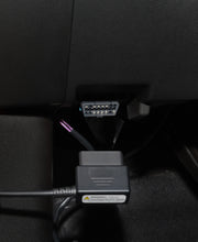 Load image into Gallery viewer, Photo - Close Up