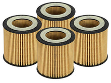Load image into Gallery viewer, aFe Pro GUARD D2 Oil Filter 06-19 BMW Gas Cars L6-3.0T N54/55 - 4 Pack