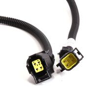 Load image into Gallery viewer, BBK 05-20 Dodge 6.1L/6.2L/6.4L Rear O2 Sensor Extensions 4 Pin Square Style 24in (pair)