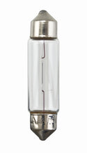 Load image into Gallery viewer, Hella Bulb 6411 12V 10W Sv858 T325 10X41(2)