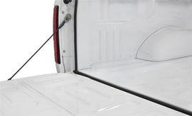 Access Accessories TRAILSEAL Tailgate Gasket 1 Kit Fits All Pickups AJ-USA, Inc