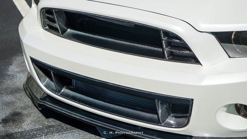 Anderson Composites 10-14 Ford Mustang/Shelby GT500 Front Lower Grille AJ-USA, Inc