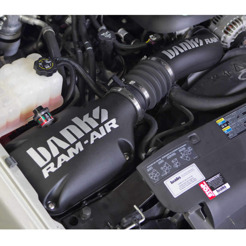 Banks Power 99-08 Chev/GMC 4.8-6.0L 1500 Ram-Air Intake System - Dry Filter AJ-USA, Inc