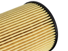 Load image into Gallery viewer, aFe Pro GUARD HD Oil Filter RAM 1500 EcoDiesel 14-16 V6-3.0L (td)
