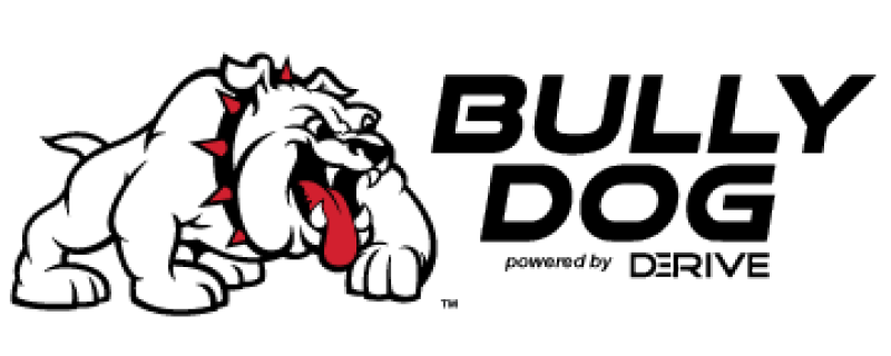 Bully Dog Custom Adaptar T-slot to 1inch RAM ball GT and WatchDog