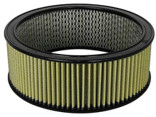 Load image into Gallery viewer, aFe MagnumFLOW Air Filters Round Racing PG7 A/F RR PG7 14OD x 12ID x 5H IN with E/M